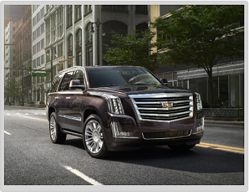 LUXURY ESCALADE
