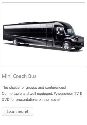 mini-coach-bus
